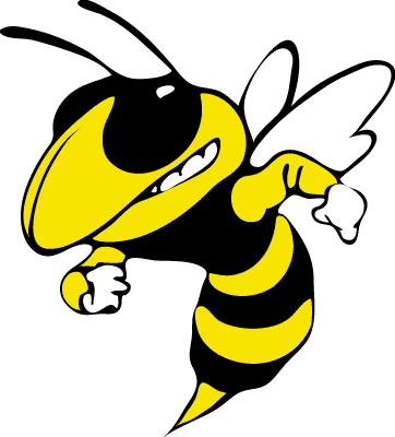 bigyellowjacket.jpg